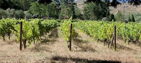 20 bedrooms House in Abrunhosa a Velha, Portugal No. 41399 30