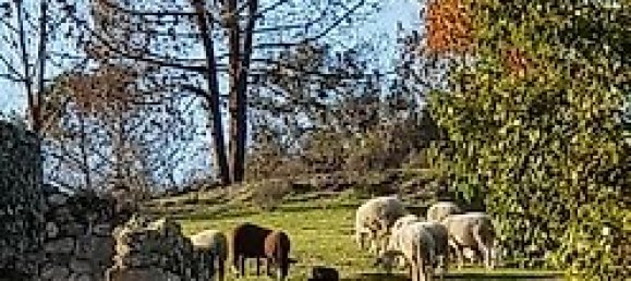 20 bedrooms House in Abrunhosa a Velha, Portugal No. 41399 27