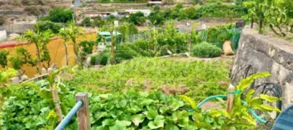 Дом с 3 спальнями в Гуимар, Испания № 169497 9