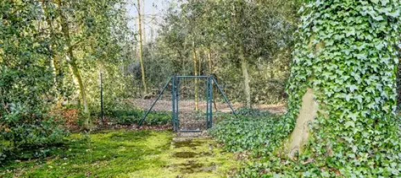 5-salle Appartement à Essen, Germany No. 60150 14