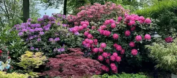 5-salle Appartement à Essen, Germany No. 60150 18