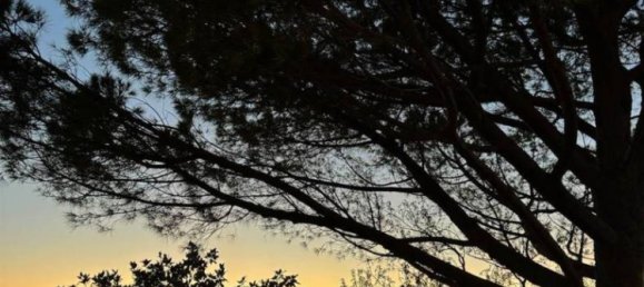 2 bedrooms Apartment in Massa Marittima, Italy No. 219452 45