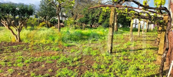 3 bedrooms House in Gondarem, Portugal No. 67066 7