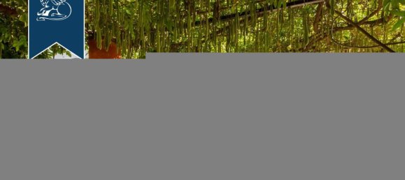 8 bedrooms Villa in San Giuliano Terme, Italy No. 331195 50