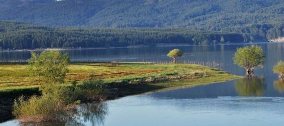 6 rooms House in San Giovanni in Fiore, Italy No. 254172 21