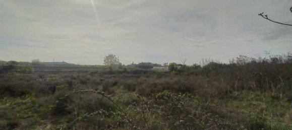  Land in Calatorao, Spain No. 63690 21