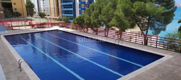 3 bedrooms Apartment in Benidorm, Spain No. 62761 29
