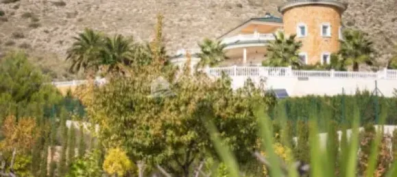 Casa de 5 dormitorios en Hondon De Las Nieves, Spain No. 67474 3