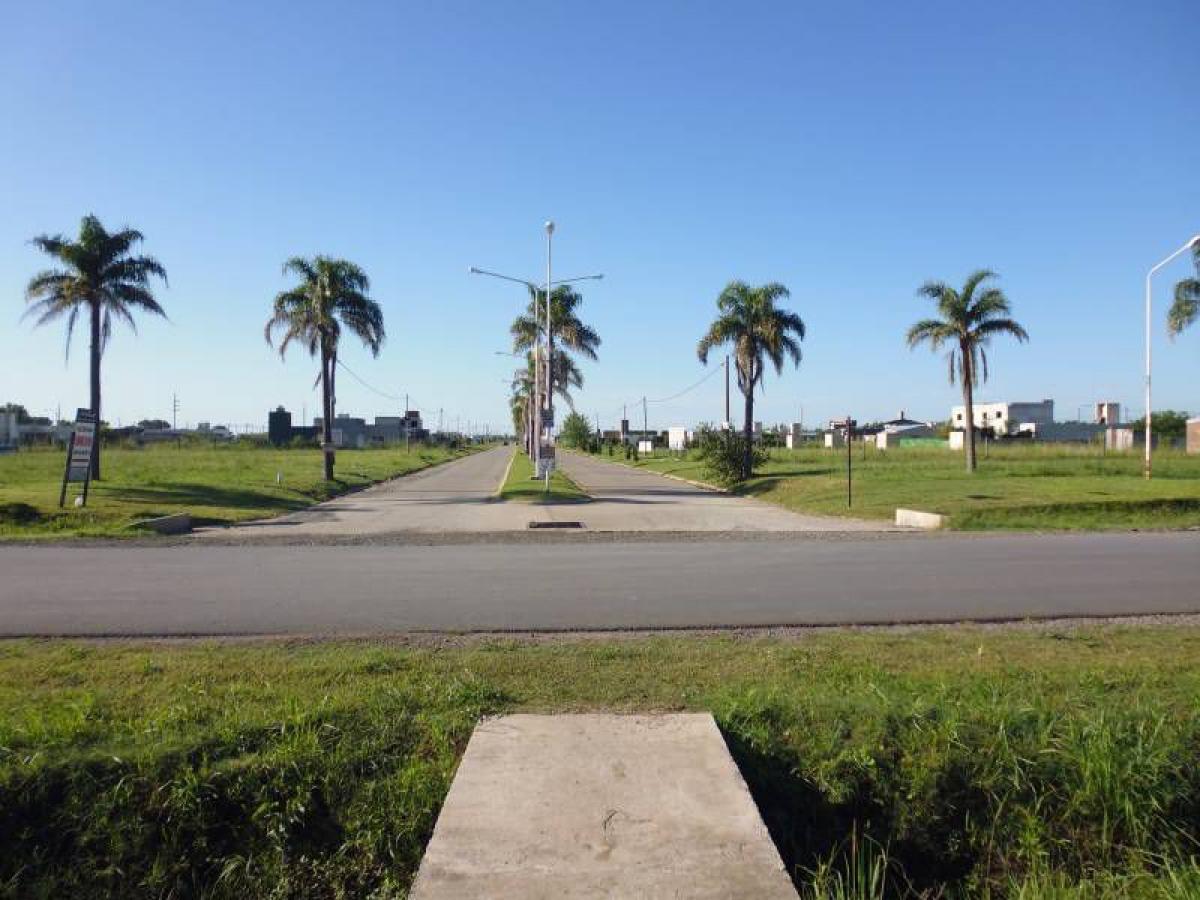  Land in Santa Fe, Argentina No. 31957