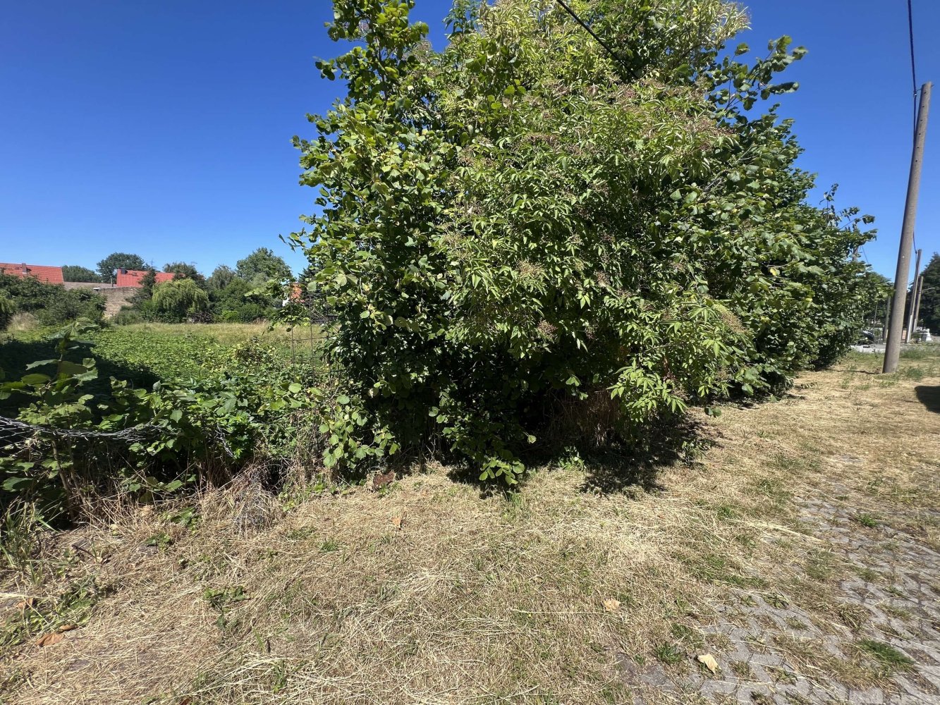 Terreno em Nordsachsen, Germany N.º 247377