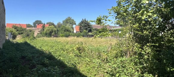 Terreno em Nordsachsen, Germany N.º 247377 2