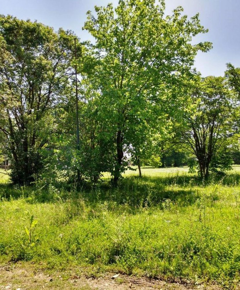 167m² Land in Jose C. Paz, Argentina No. 121392