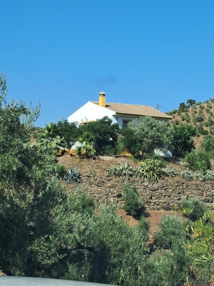 3 bedrooms House in Montoro, Spain No. 186659