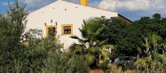 3 bedrooms House in Montoro, Spain No. 186659 7