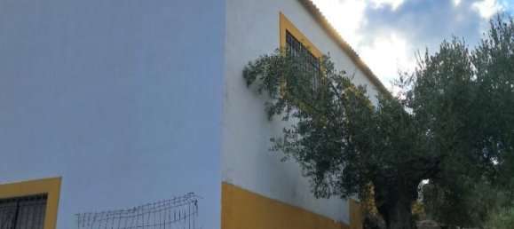 3 bedrooms House in Montoro, Spain No. 186659 11