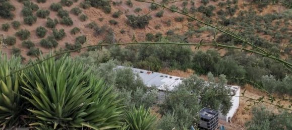 3 bedrooms House in Montoro, Spain No. 186659 9