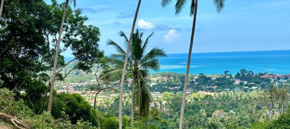 1600m² Commercial property in Ko Samui, Thailand No. 22493 5