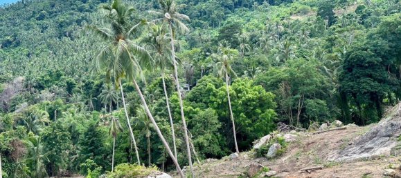 1600m² Commercial property in Ko Samui, Thailand No. 22493 6