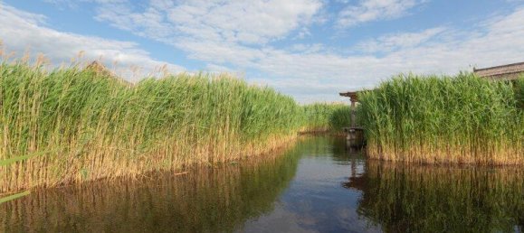2-salle Maison à Rust, Austria No. 156770 5