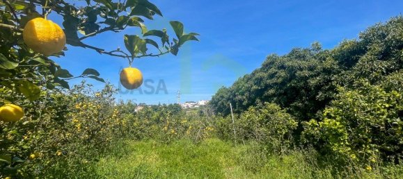 Terreno en Ericeira, Portugal 5625 m² No. 69204 11