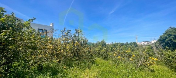 Terreno en Ericeira, Portugal 5625 m² No. 69204 7