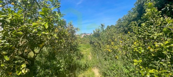 Terreno en Ericeira, Portugal 5625 m² No. 69204 6