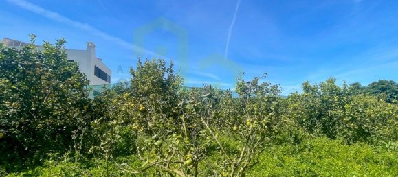 Terreno en Ericeira, Portugal 5625 m² No. 69204 8