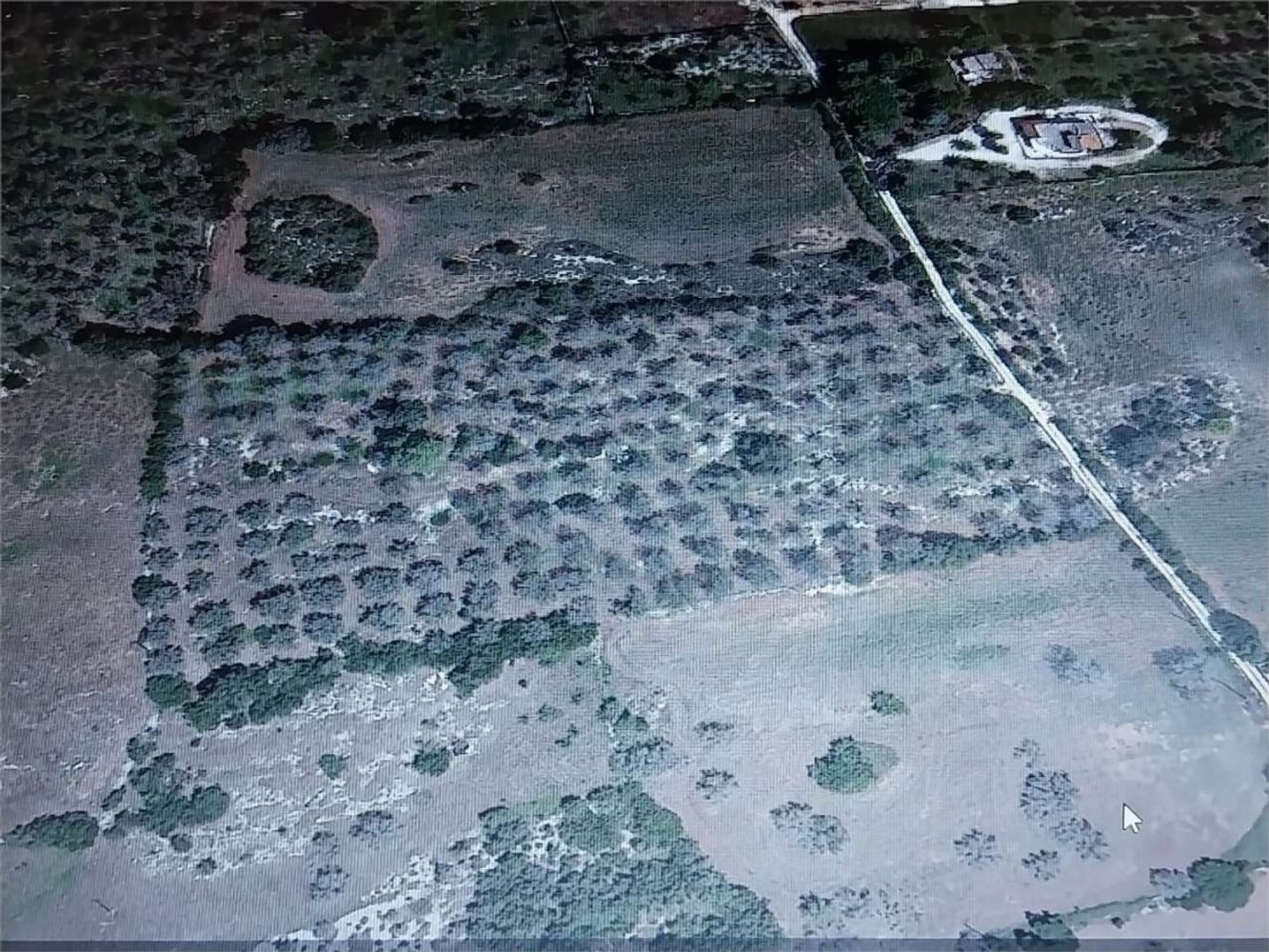 Земельный участок 18000м² в Maglie, Италия № 150670