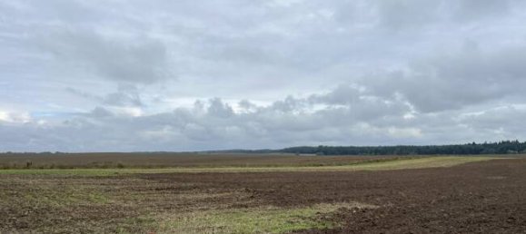 7-Zimmer Haus in Ludwigslust-Parchim, Germany, Nr. 263948 20