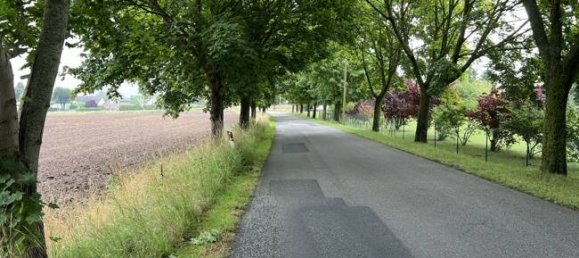 7-Zimmer Haus in Ludwigslust-Parchim, Germany, Nr. 263948 23