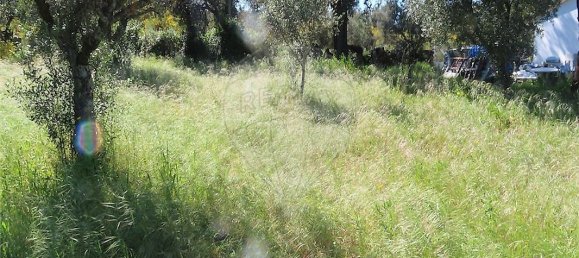 9 bedrooms House in Penamacor, Portugal No. 89486 17