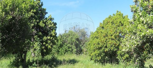 9 bedrooms House in Penamacor, Portugal No. 89486 35