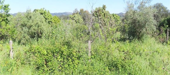 9 bedrooms House in Penamacor, Portugal No. 89486 20