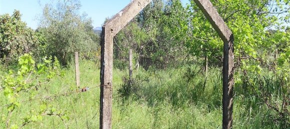 9 bedrooms House in Penamacor, Portugal No. 89486 22