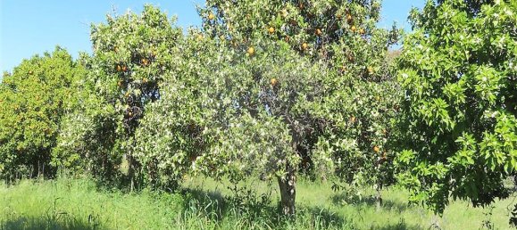 9 bedrooms House in Penamacor, Portugal No. 89486 33