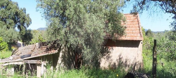 9 bedrooms House in Penamacor, Portugal No. 89486 9