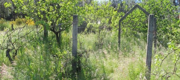 9 bedrooms House in Penamacor, Portugal No. 89486 24