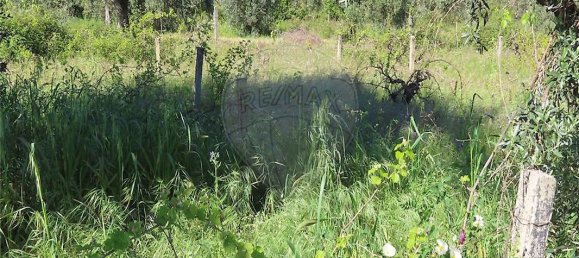 9 bedrooms House in Penamacor, Portugal No. 89486 40