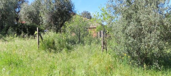 9 bedrooms House in Penamacor, Portugal No. 89486 27