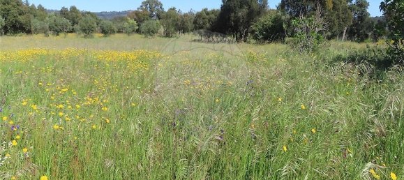 9 bedrooms House in Penamacor, Portugal No. 89486 3