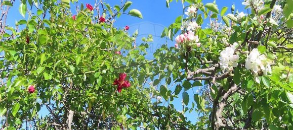 9 bedrooms House in Penamacor, Portugal No. 89486 25