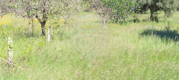 9 bedrooms House in Penamacor, Portugal No. 89486 41