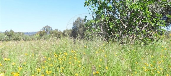 9 bedrooms House in Penamacor, Portugal No. 89486 44