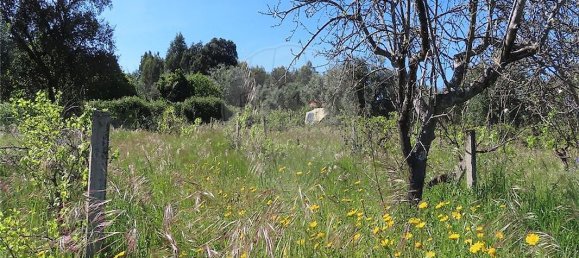 9 bedrooms House in Penamacor, Portugal No. 89486 6