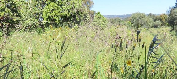 9 bedrooms House in Penamacor, Portugal No. 89486 28