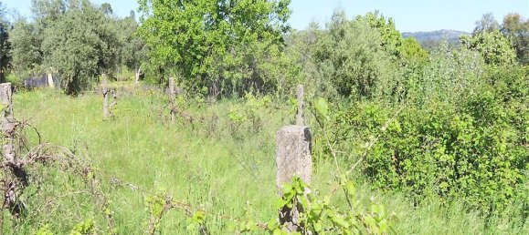 9 bedrooms House in Penamacor, Portugal No. 89486 18