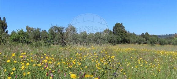 9 bedrooms House in Penamacor, Portugal No. 89486 2