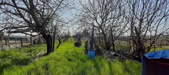 5 rooms House in Canaro, Italy No. 252479 4