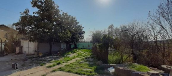 5 rooms House in Canaro, Italy No. 252479 5