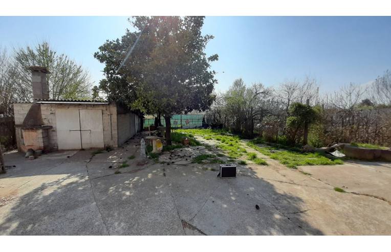 5 rooms House in Canaro, Italy No. 252479